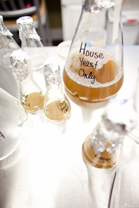 The Bruery Quality Control Lab