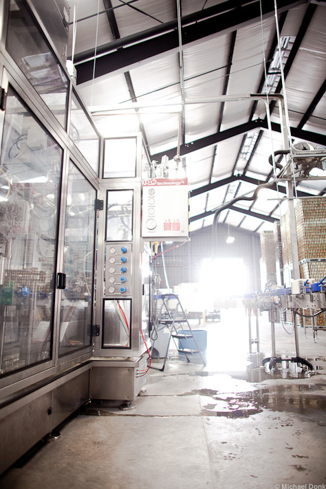 Cigar City Canning Line