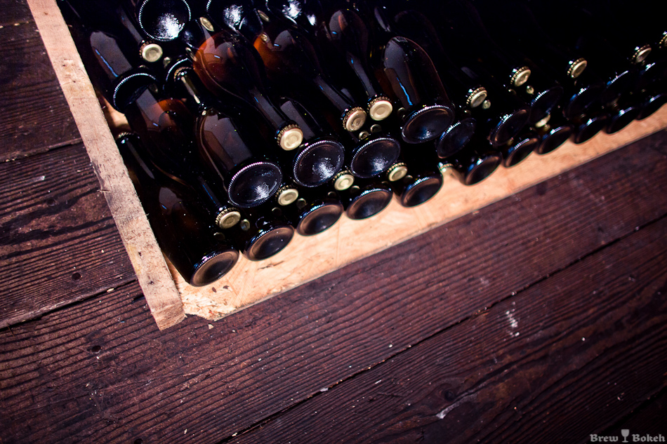 Creature Comforts Bottles Conditioning