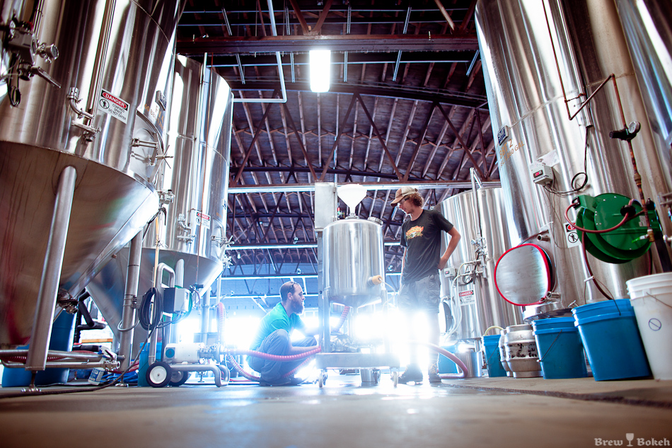Jaimie & Drew, Working Creature Comforts Cellar