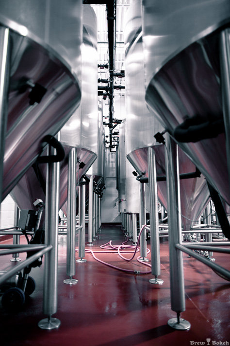 Dieu Du Ciel! Fermenters