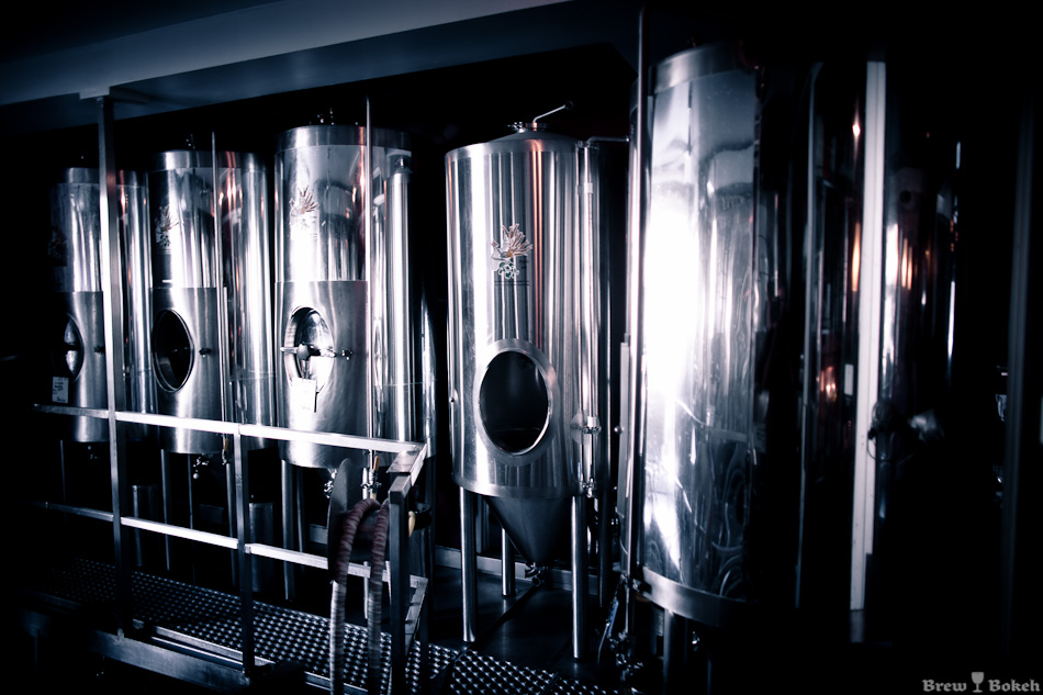 Dieu Du Ciel! Fermenters