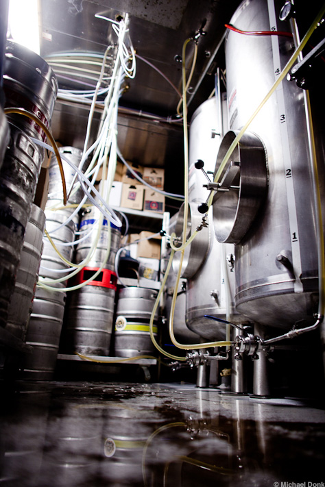 Freetail Cooler