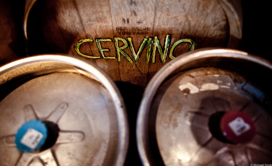 Freetail Barrel & Kegs