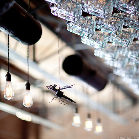 Greenbush Spark Plug Insect