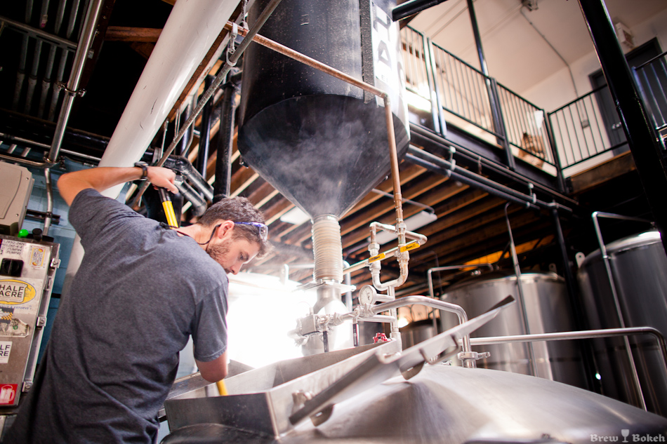 Checking The Mash