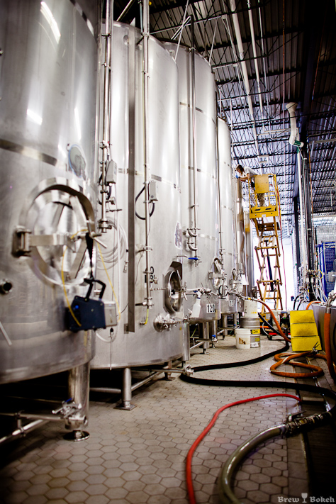 Half Acre Production Fermenters