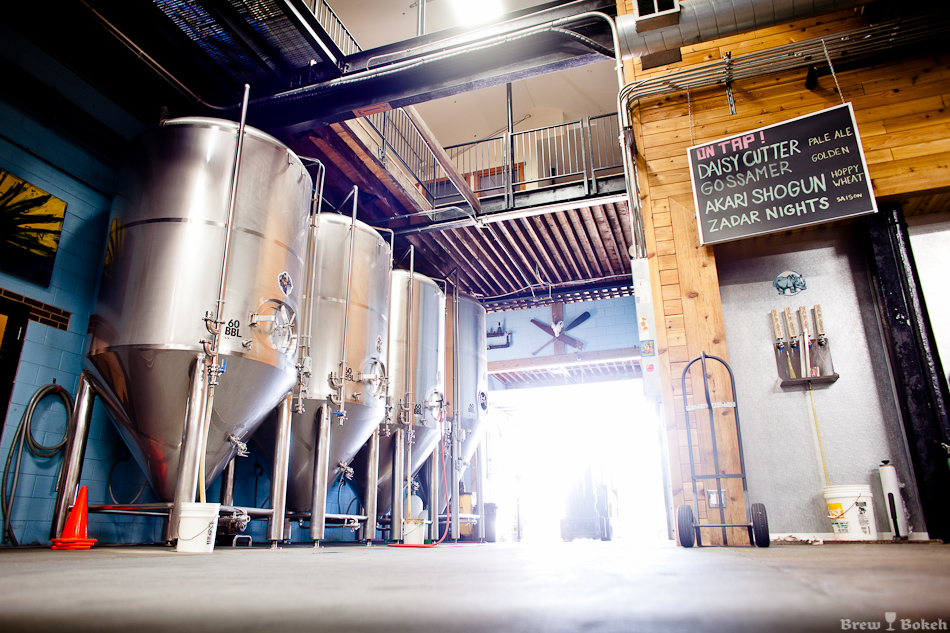 Half Acre Fermenters & Brewery Taps