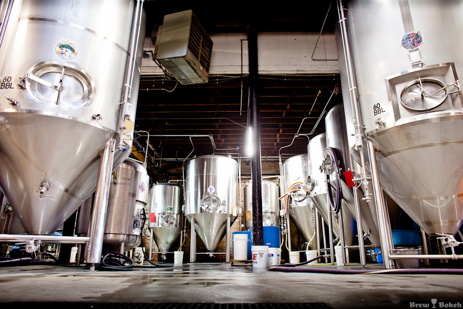 Half Acre Fermenters