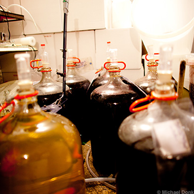 Kuhnhenn Mead