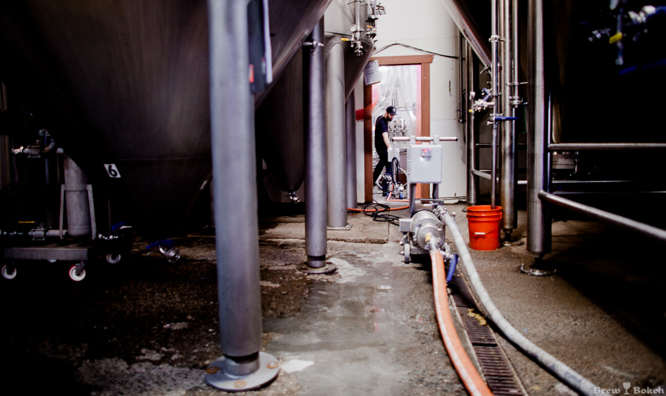 Lost Abbey & Port Brewing