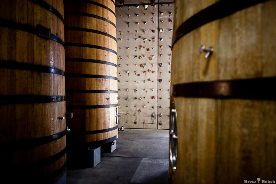 New Belgium Foeder Garden & Rock Climbing Wall