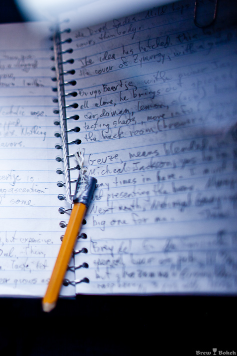 Jeff Lebesch (NB Co-Founder) Notebook From 1st Belgium Trip