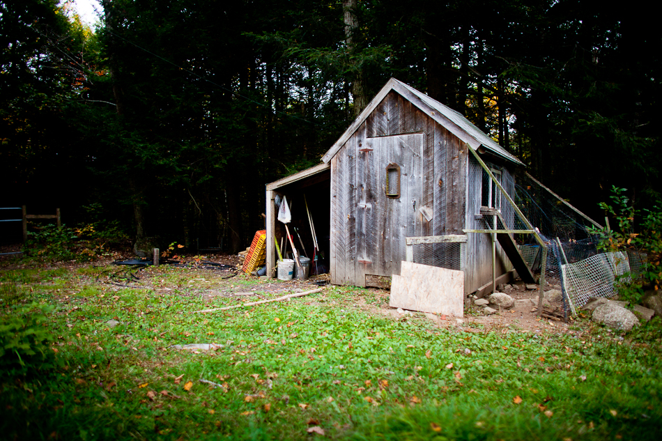 Oxbow Garden Shed