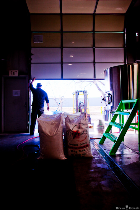 Checking the Mash