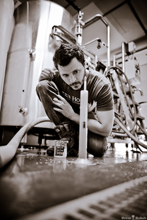 Checking the Wort