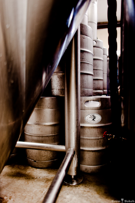 Tree House Fermenter & Kegs