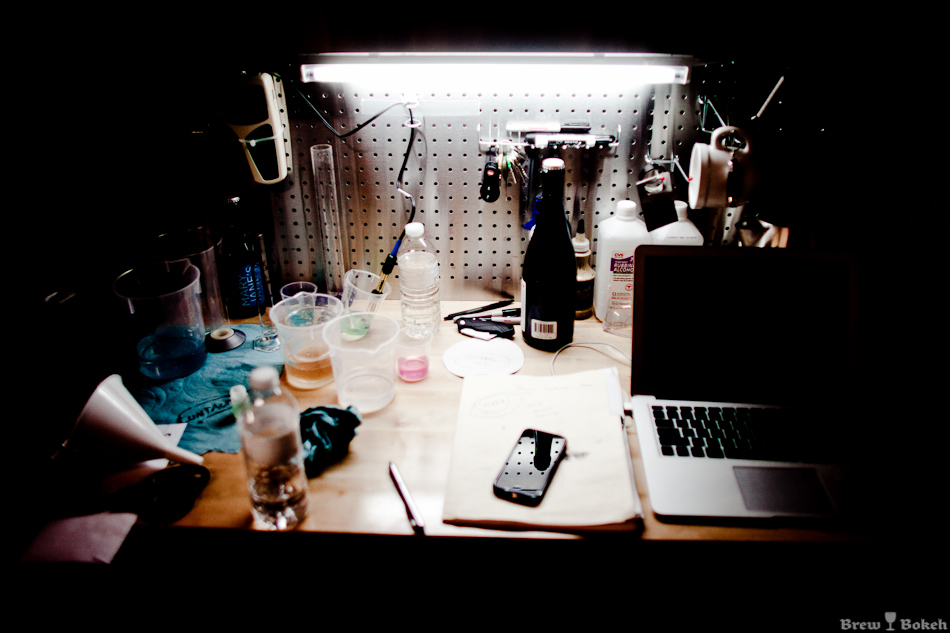 Tree House Desk