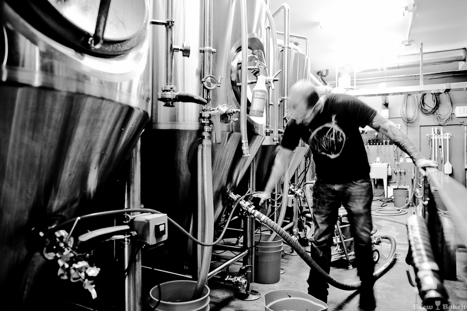 TRVE Transfering Wort