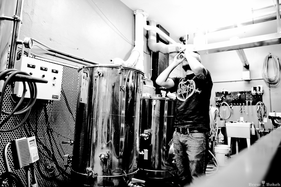 TRVE Checking Wort
